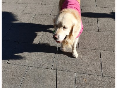 María Natividad Charro Martin