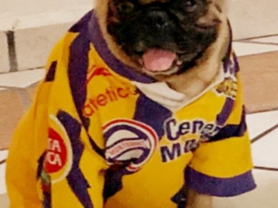 Jaime Rogelio  Martinez Avila