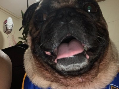 Jaime Rogelio  Martinez Avila