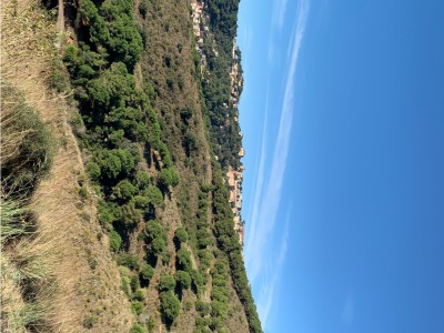 Marta Belmonte Serra