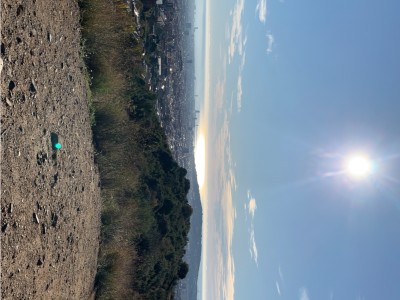 Marta Belmonte Serra