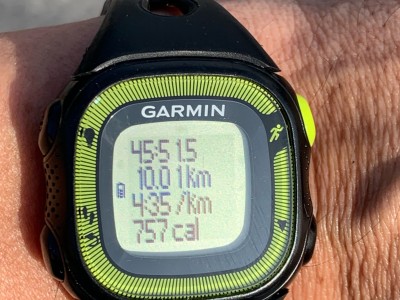 Eduardo moreno morales