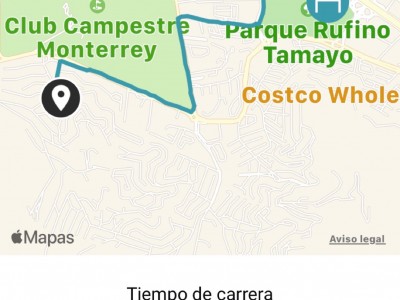 Cameli Torres Ferraez