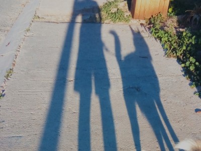 Fernando  Vazquez Rodriguez