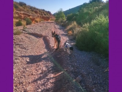 Mauricio Mínguez Vega 