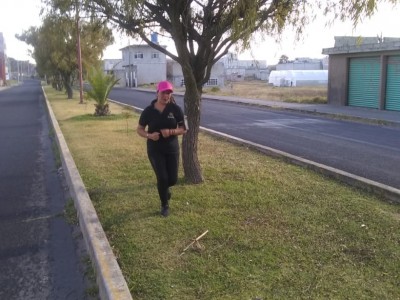 Nancy González Monroy