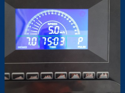 Joaquín Raymundo  Guevara Gonzalez 