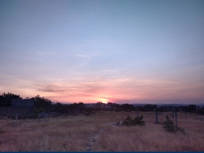 Xochitl Flores Trujillo