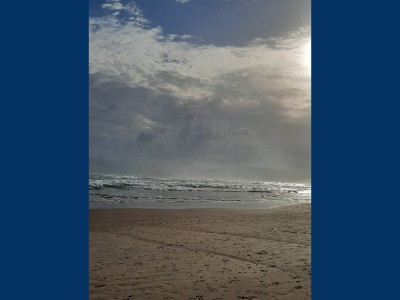 CLAUDIA  briones gonzaga 