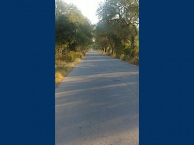 jorge alberto avila castro