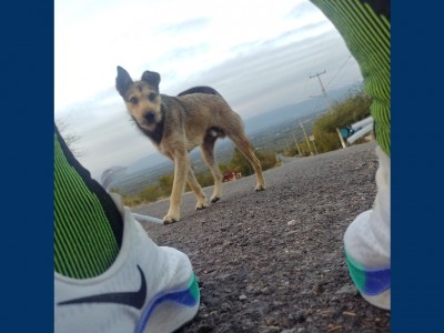 jorge alberto avila castro