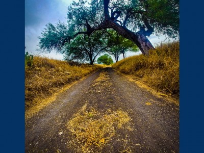 jorge alberto avila castro