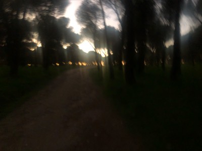 Gisela  gutierrez Demichelli