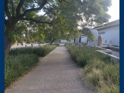 Brenda Tinoco icy.nyxx