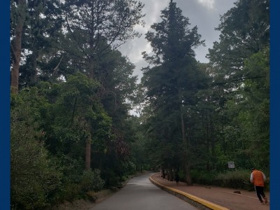 Brenda Tinoco icy.nyxx