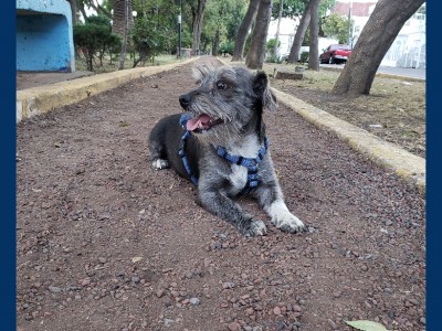 Brenda Tinoco icy.nyxx