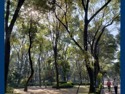 Brenda Tinoco icy.nyxx