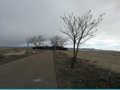 Ana Carmen Supervia Murillo