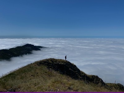 Pablo Fernandez Mesa