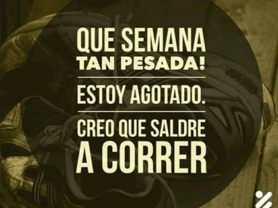 Guillermo  Saldivar Davila