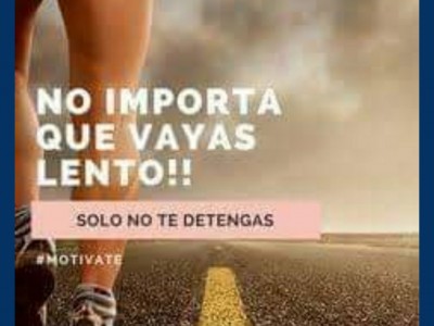 Guillermo  Saldivar Davila