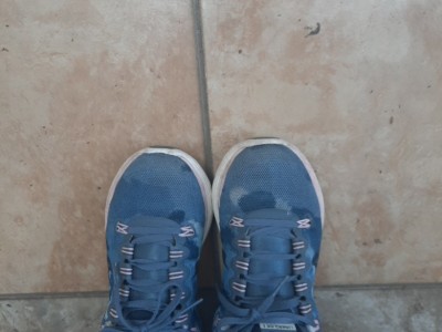 Edda Porcayo Michelini