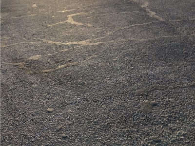 Rosa Icela Martinez Ruiz