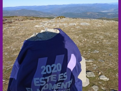 David Martínez Morales