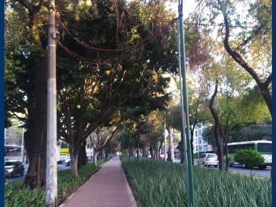 Sebastián  Sánchez Cedillo 