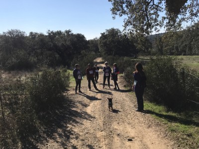 Alberto moriano hernandez 