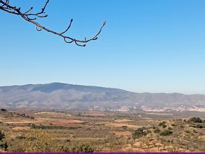 Alberto Castillo Aranda