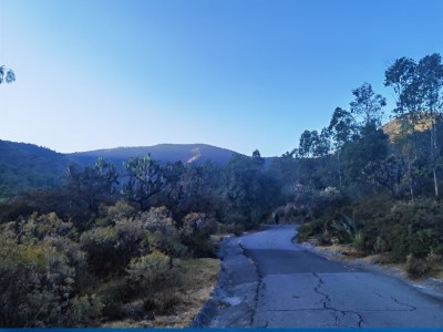 Liliana Ivonne González Morales