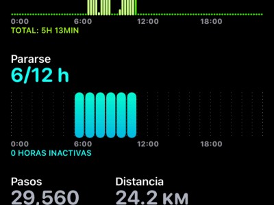 Rosa Angela Palomino Hernandez