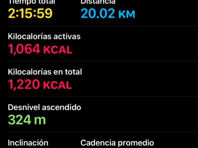 Rosa Angela Palomino Hernandez