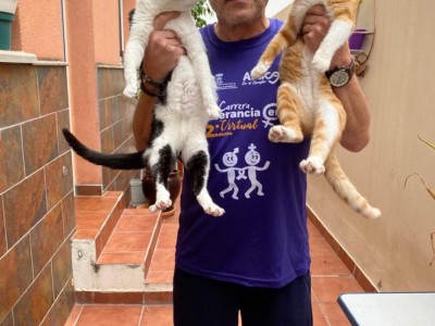 alexia suarez herrera