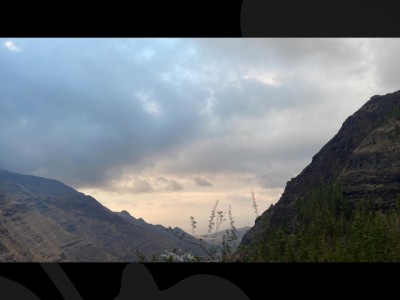 alexia suarez herrera