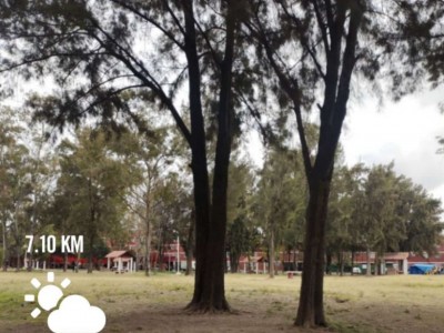 Irlemy Guillermo Vargas