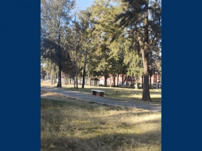 Irlemy Guillermo Vargas