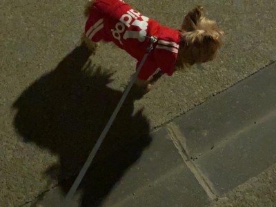 Lidia Murillo Castillo