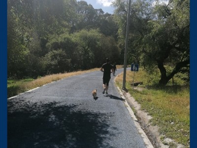 Priscila Andrea Bifano Palacios