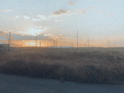 Alicia  Martinez Suescun 