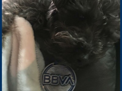 Lucina Gatica Ramirez