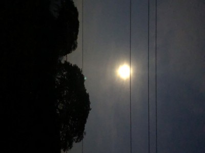 ISAI  SANCHEZ JUAREZ