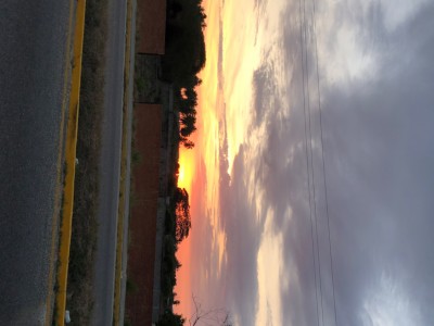 ISAI  SANCHEZ JUAREZ