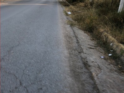 Estefanía  Perez Morales 