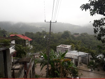 Francisco Javier  Velázquez Rodríguez 