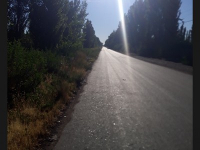 Roberto Aníbal Erasun