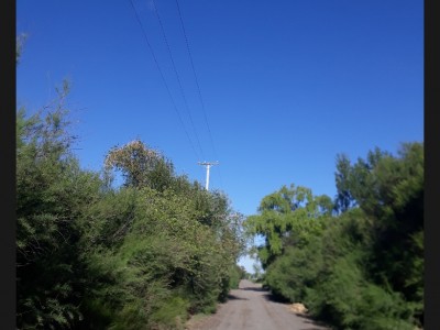 Roberto Aníbal Erasun