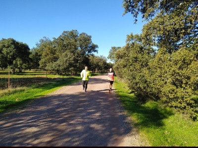Antonio Caravantes Trenado