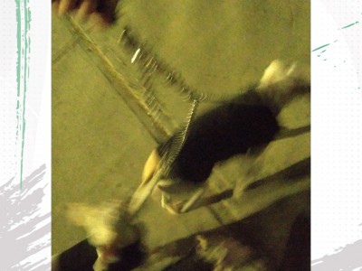 Alejandro Josafath Guerra Garcia